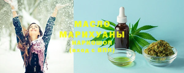 винт Каменка