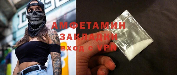 индика Каменногорск