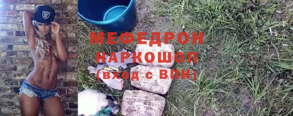 индика Каменногорск