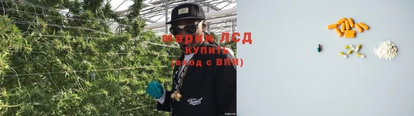 индика Каменногорск