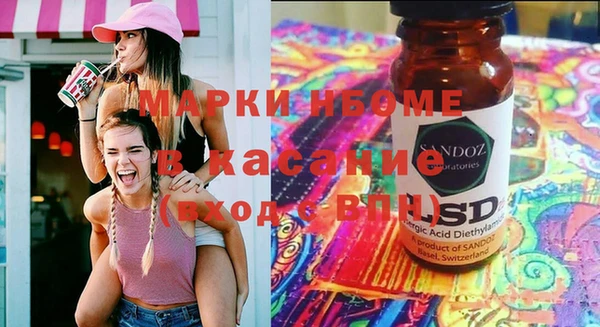 индика Каменногорск