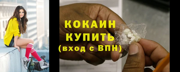 индика Каменногорск