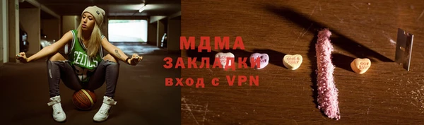 индика Каменногорск