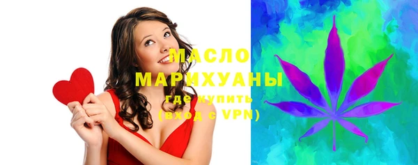 индика Каменногорск