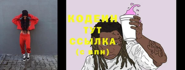 индика Каменногорск