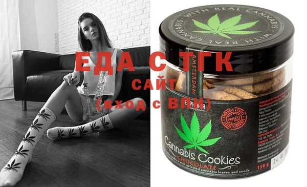индика Каменногорск