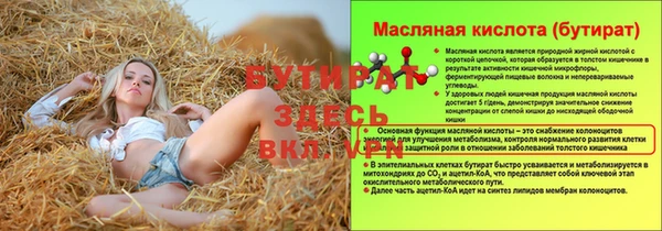 индика Каменногорск