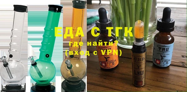 индика Каменногорск