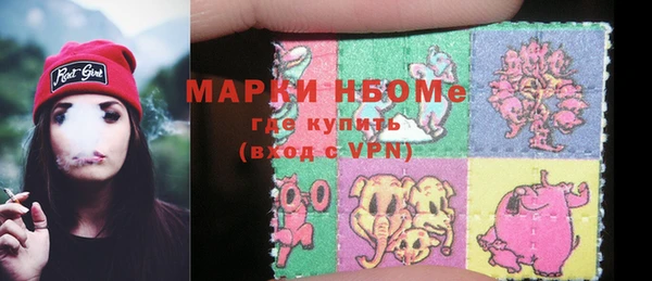 индика Каменногорск