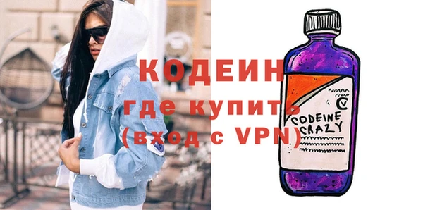 индика Каменногорск