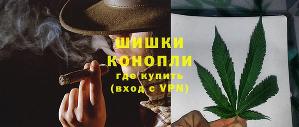 винт Каменка