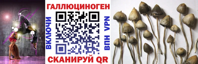 Псилоцибиновые грибы мухоморы  купить закладку  гидра ссылка  Пущино 
